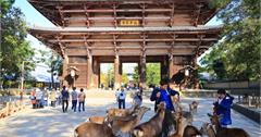 10大奈良景點旅遊路線＆交通提案攻略：奈良一日遊二日遊這樣玩！