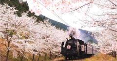 日本東京懶人包：超過20個東京市區x近郊景點報你知！