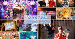 奈良│M!Nara：忍者體驗館、金魚博物館！親子忍者大變身，玩樂拍照打卡去
