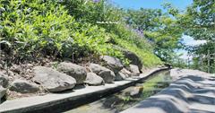 我的眼睛怎麼了！水往上流奇觀：東海岸旅遊必經小景點，反地心引力的視錯覺～