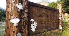 新竹芎林｜鹿寮坑自行車逍遙遊～茄苳老樹、石爺石婆、現採香菇！