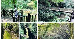 新竹峨眉｜水濂橋步道：水濂洞梵音寺，獅頭山最大天然岩洞！享受一線天與青山綠水森林浴