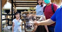 宜蘭｜心心農家樂：全台唯一療癒系動物農場！