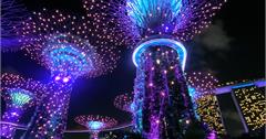 新加坡｜濱海灣花園超級樹燈光秀、花穹、雲霧林