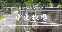花蓮│華東牧場，烤雞烤魚有吃又有玩，免費入園的親子出遊景點