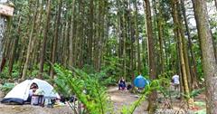 新竹｜森窯have a Picnic：森林中野餐、親子同遊好去處！
