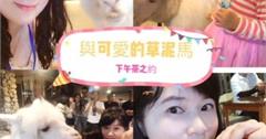 北海岸親子遊｜OIA伊亞藝術咖啡館：超可愛的草泥馬巡邏當店長！