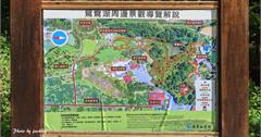台中｜福壽山農場魯冰花