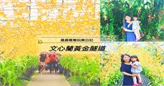 宜蘭｜文心蘭黃金隧道：期間限定金黃色隧道，隱藏版花牆好好拍！