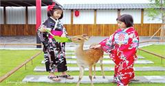宜蘭三星｜張美阿嬤農場：全台唯一！穿和服在日式庭園裡餵梅花鹿