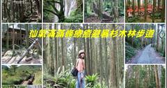 北部避暑步道！9條仙氣滿滿的療癒杉木林步道～