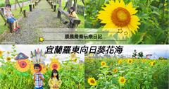 宜蘭｜期間限定【向日葵花海】！4萬5千朵向日葵，超美金黃花海，打卡拍照新景點！