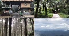 桃園復興｜東眼山國家森林遊樂區：北台灣森林系步道，高聳柳杉林，登小百岳東眼山遠眺！