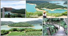 新北石碇｜千島湖秘境：鱷魚島和土虱頭，加上永安景觀茶園的熱門IG美拍點～