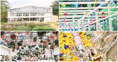 花手水、風鈴祭與薰衣草！HANA・BIYORI夏日浪漫 不只有花室星巴克 