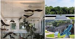 新北五股｜觀音山猛禽展示館｜栩栩如生的老鷹/互動式VR體驗還有猛禽小學堂，讓你更進一步了解這天空中的王者!
