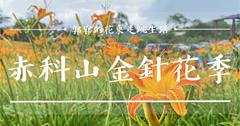 花蓮│2020赤科山金針花季，媲美六十石山與太麻里金針山的絕美花海