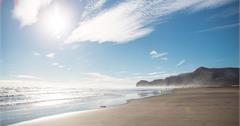 紐西蘭 | 奧克蘭 Auckland | 皮哈海灘 Piha Beach