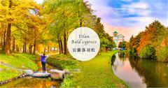 宜蘭│6個落羽松景點懶人包，秋冬限定美景在這裡！