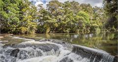 紐西蘭 | 北島北 Northland | 凱里凱里 KeriKeri Rainbow Falls