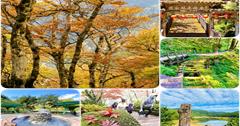 宜蘭太平山景點TOP5！必訪太平山絕美步道、森林鐵道蹦蹦車、秋冬限定山毛櫸步道、提竹簍煮溫泉蛋x金黃玉米