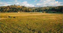 新竹小塹有約香山走透透，私藏景點首度公開，香山物產一次搬上桌，品嘗在地傳統滋味。