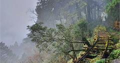 【宜蘭】太平山森林遊樂區：完整景點介紹｜見晴古道、翠峰湖一日暢遊