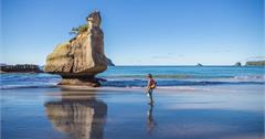紐西蘭 | 科羅曼德爾半島 Coromandel Peninsula | 教堂灣 Cathedral Cove