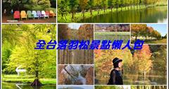 2020季節限定！精選全台落羽松19處景點懶人包