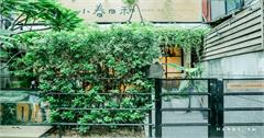 台北｜小春日和動物雜貨珈琲：超萌貓咪店長陪你玩，民生社區寵物友善餐廳