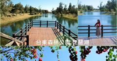台東森林公園 琵琶湖 夢幻湖泊水色療癒，純粹又自然的美