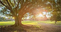 紐西蘭 | 奧克蘭 Auckland | 西泉公園 Western Springs Park