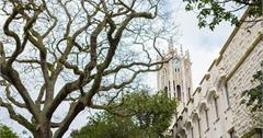 紐西蘭 | 奧克蘭 Auckland | Auckland Free Walking Tours