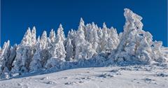 美到像國外！台灣冬天哪裡會下雪？台灣賞雪景點報你知