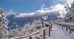 宜蘭｜太平山賞雪（見晴停車場－見晴懷古步道）