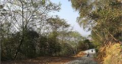 新竹新埔｜犁頭山文山步道：懶人步道首選！路面平緩、林蔭相隨，登上稜線眺望竹北市容
