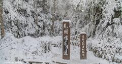 210110宜蘭：太平山見晴懷古步道賞雪