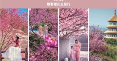 跟著櫻花去旅行：台北-苗栗