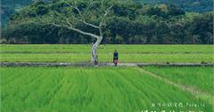 台灣小鎮漫遊 : 慢活鳳林客家庄 | 訪古菸樓話往昔、深入在地生活體驗 
