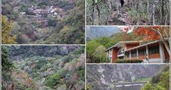 2021年綠水文山步道(二)！幽靜山林、舊部落遺跡、紅葉漫漫、稜線陡升，冬季撿山頭，林相至美