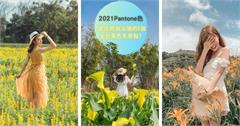 2021什麼顏色最流行？走在時尚尖端的8個全台黃色系景點！