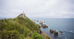 紐西蘭 | 卡特林斯 Catlins | 南島極東最美海角燈塔 Nugget Point Tokata Lighthouse