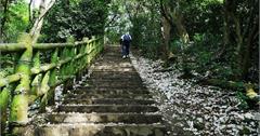 【新竹芎林】飛鳳山步道（觀日坪古道） 人品大爆發可以直接看到台北101
