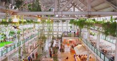 宜蘭員山│香草菲菲～絕美芳香植物博物館、空中步道，最佳室內景點！