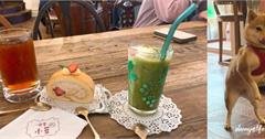 台北松山｜喫茶小豆：寵物友善餐廳，超美裝潢豆柴咖啡廳