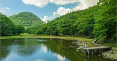 宛如吉卜力動畫場景 栃木那須夏日避暑秘境大沼園地