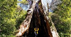 用爬山和玩水時光重整自己！新竹尖石景點x原住民文化x登山玩水大補帖