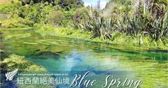 紐西蘭｜Blue Spring北島必去，絕美夢幻藍泉秘境