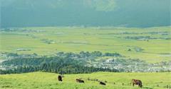 阿蘇山九州地質公園春夏篇 活火山上自駕兜風賞青草原