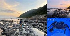 宜蘭頭城｜石城海邊：頭城看海玩水秘境！療癒海景、聽海浪聲、眺望龜山島、觀察潮間帶生態
